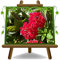 EURO PLANTS VIVAI Lantana Camara Rosso Cespuglio Pianta Ornamentale Vaso 14 cm.