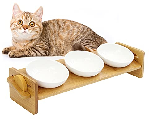 LIEKUMM Schräg Titel-Keramik-Doppelnapf Erhöhter Fressnapf mit Rutschfestem Bambushalter und Rutschfestem Silikon, Geeignet für Katzen und Welpen