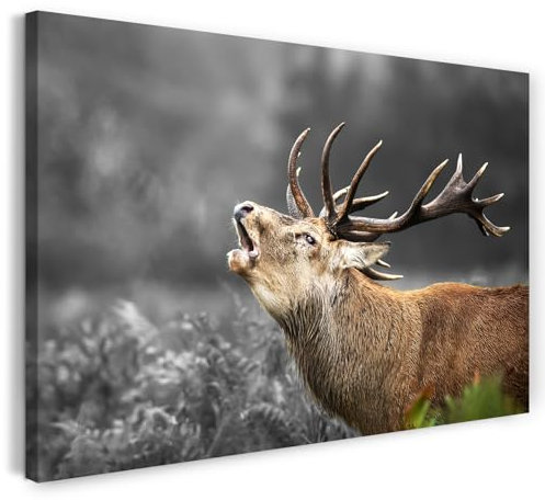 Printistico Leinwandbild (80x60cm) Röhrender Hirsch, Wildtier Fotografie - Tiere, Natur, Landschaft, echter Holz-Keilrahmen inkl. Aufhänger, handgefertigt in Deutschland