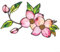 Einzigartige doppelseitige Blumen-Wanddekoration mit Saugnapf für verschiedene Einstellungen