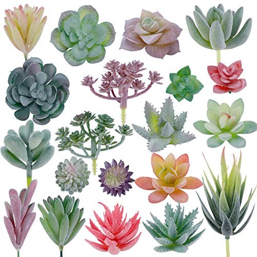 CEWOR Lot de 20 mini plantes succulentes artificielles floquées - Décoration de qualité supérieure pour bricolage, bricolage, maison, mur, jardin, décoration de bureau (sans pot)