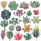CEWOR Lot de 20 mini plantes succulentes artificielles floquées - Décoration de qualité supérieure pour bricolage, bricolage, maison, mur, jardin, décoration de bureau (sans pot)
