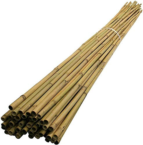 FlickBuyz 2ft -3ft- 4ft- 5ft - 6ft Garden Bamboo Canes/Poles/Stakes/Trellis Strong Quality Plant Support Green Canes (10 X 6FT)