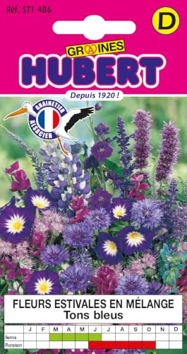 Graines de Fleurs Estivales en Mélange Tons Bleus Pour 1 m² - 2 grammes