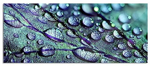 Pixxprint Glasbild Panorama, Wandbild aus Echtglas, Nahaufnahme Wassertropfen auf Blatt, 100x40 cm, inkl. Aufhängung und Abstandshalter