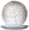 Luminarc ARC 10241 Aspen Teller flach, 24cm, Glas, transparent, 6 Stück