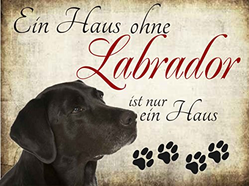 Creativ Deluxe EIN Haus ohne Labrador ist nur EIN Haus Hundeschild/Hundedeko/Metallschild/Blechschild/Dekoschild/Wandschild/wetterfest/Innenbereich/Außenbereich/Motivation/Vintage