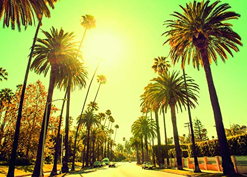 Komar Wandbild | Palm Alley | Poster, Bild, Wohnzimmer, Schlafzimmer, Dekoration, Kunstdruck | ohne Rahmen | P127-70x50 | Größe: 70 x 50 cm (Breite x Höhe)