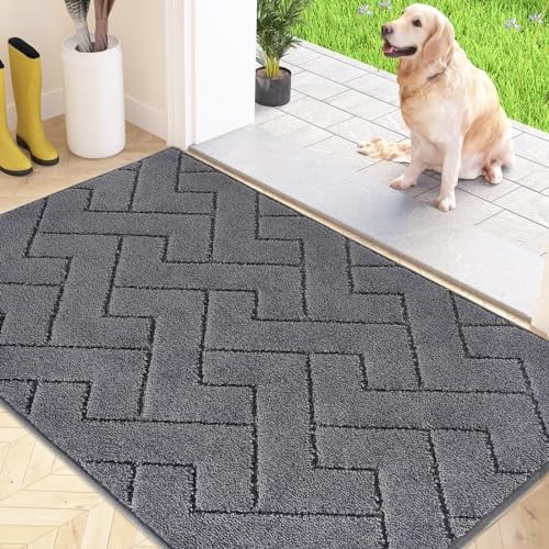 FCSDETAIL Schmutzfangmatte Innen 80 x 120 cm, rutschfeste Fußmatte, waschbar Sauberlaufmatte, absorbierend Türmatte, Fussmatte Teppich für Hund, Eingang, Haustür & Flur