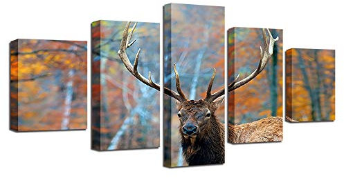 RFCKMIRZ Leinwand Bilder Reh Bilderwand 5 Teiliges Poster Kunstdrucke Xl (150X80Cm) Gemälde