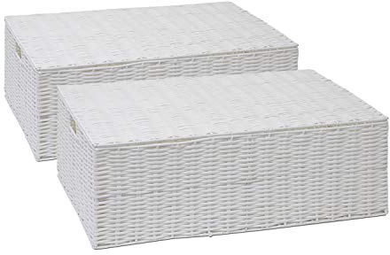ARPAN Resin Woven Under Bed Storage Box, Chest Shelf Toy Clothes Basket With Lid - White (Set of 2 - Large)