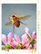 CALVENDO Puzzle Junikäfer (Amphimallon solstitiale) 1000 Teile Puzzle hoch | 1000 Teile Lege-Größe 48 x 64 cm Foto-Puzzle für glückliche Stunden