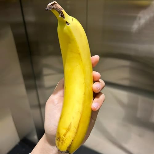 100 pcs Bananensamen, Musa nana säulenobstbäume, garten Bananenpflanz Samen Winterhart obstbaum, balkon pflanzen samen indoor, bonsai samen, winterharte pflanzen für balkon extrem