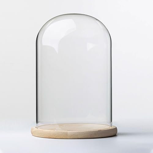 TIHONORI Dia 20 Cm Glass Cloche Dome Display with Solid Wood Base for Displaying Plants, Ornaments, Figurines,20 * 25cm