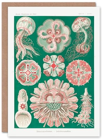 Artery8 Ernst Haeckel Art Card Green Pink Vintage Jellyfish Illustration