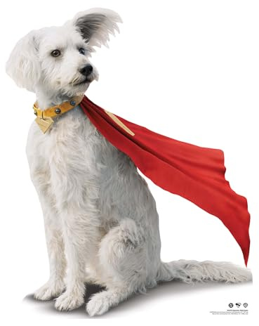 Star Cutouts SC4732 Superman Movie David Corenswet with Krypto Cardboard Cutout 94cm – DC Movie Party Decoration & Fan Gift