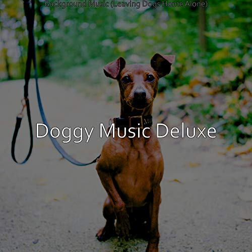 Background Music (Leaving Dogs Home Alone)