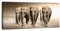 wandmotiv24 Leinwandbild Panorama Nr. 189 Elefantengruppe 100x40cm, Keilrahmenbild, Bild auf Leinwand, Elefanten Afrika Steppe