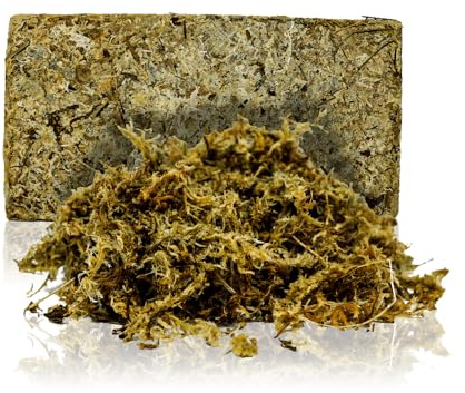 Swell Reptiles Terrarium Moss Substrate (Natural)