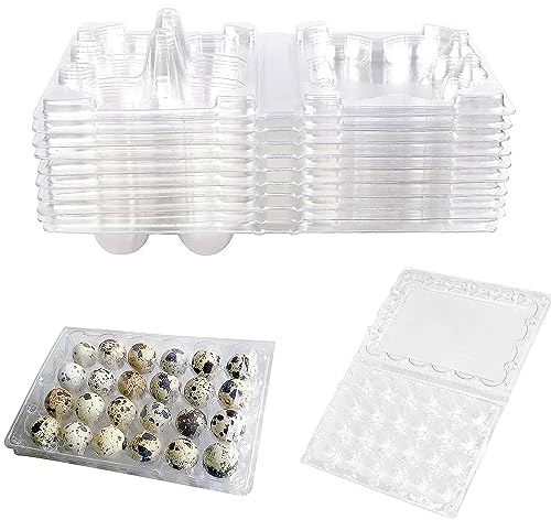 QIUMING 10 Stück 24 Gitter Wachtelei Karton Wachteleierschachteln Wachtelei Karton Wachtelei aus Kunststoff Kunststoff Eierkarton Transparente Wachtelei für Kleine Eier Wachtelfasan Taubenhuhn (A)