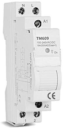 GGOOD Smart Switch Temporizador de Control Remoto inalámbrico WiFi Memoria de aplicación para Carril DIN 16a Diario Semanal Tm609 para Industrial Inicio, Medio y Material de Baja tensión