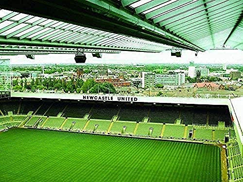 AMTTGOYY 1000 pieces of puzzle, St. James Park NewCastle, Puzzles for Adults 1000 Piece, Jigsaw Puzzles for Child, Adults Home Decor