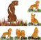 Terma Stahldesign Rhodesian Ridgeback Edelrost Hund Gartenstecker Handmade Germany gartendeko aus Rost-Metall deko rostoptik Rostfiguren Tiere rostfiguren Garten Rostdeko