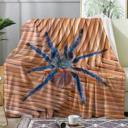 Kuscheldecke 150x200 Spinne Flauschige Decke Insekten Fleecedecke Sofadecke Couchdecke, Flanell Decken Blanket, Große XL Wohndecke Winter Warm Weich