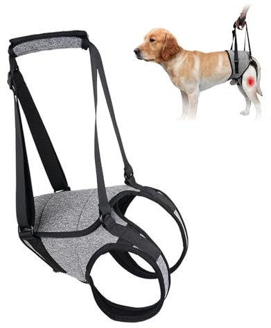 Hunde Aufzugsgeschirr,Verstellbare Hundeaufzugsstütze, Tragbares Hundegeschirr für die Hinterbeine, Tragehilfe Hund hinten Hundehebegeschirr Hundeschlaufe,für Kranke Oder Operierte Hunde (S)