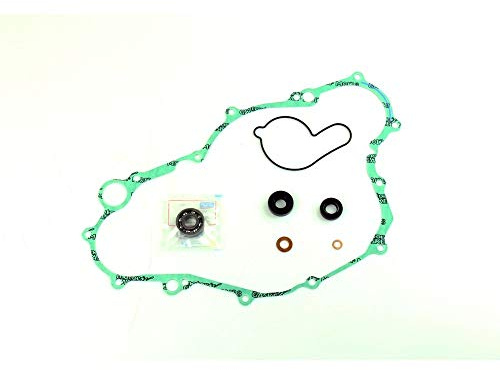 Athena Parts P400485475008 Dichtungssatz für Wasserpumpe, Schwarz