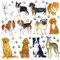 DECOWALL DS-8045 Wandaufkleber mit 12 Hunden, Pfotenabdruck, für Kinderzimmer, Schlafzimmer, Wohnzimmer, Kunst