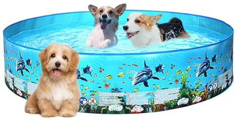 ETUCYNG Piscine Pliante,Piscine Pliante - Piscine de Bain - Baignoire Pliable pour, Piscine Non Gonflable pour Chiots, Chiens de Taille Moyenne et Grande, Chats
