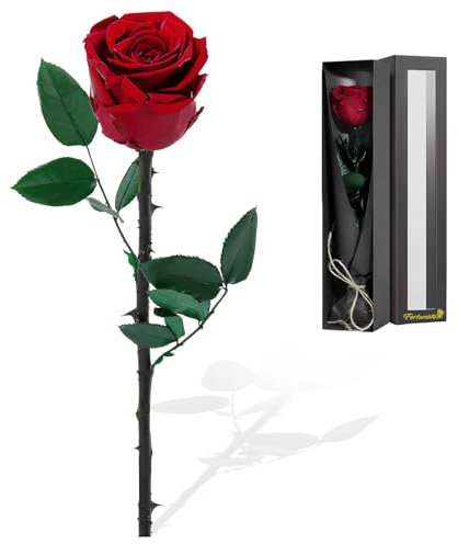 Focenat Rosa Stabilizzata Vera con Steli,Rosa Eterna Idee Regalo Donna,Rosa Eterna per Lei,Rosa Eterna Regalo Compleanno,Rosa Naturale Conservata,per San Valentino,Festa della Mamma,Anniversario