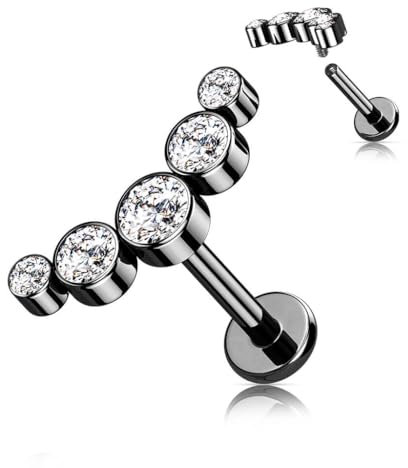 Stachelkleid Titan Labret Zargenfassung 5 Zirkonia Innengewinde Piercing Ohr-Stecker Helix Tragus Schwarz/Kristall, 6 mm