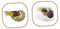 Garneck Fisch Tank Muscheln Muscheldekor Dekorationen für Aquarien Aquarium Nautilus-Schale groß Living Room Decoration wohnzimmerdeko Hausdekoration Aquarienverzierung Fischtank Dekore