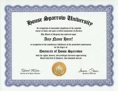 House Sparrow Degree: Custom Gag Diploma Doctorate Certificate (Funny Customized Joke Gift - Novelty Item)