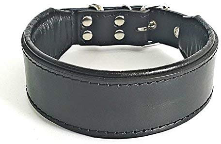 Bestia™ Classic Echtleder Hundehalsband. 100% Leder. Weich gepolstert. TOP Qualität!