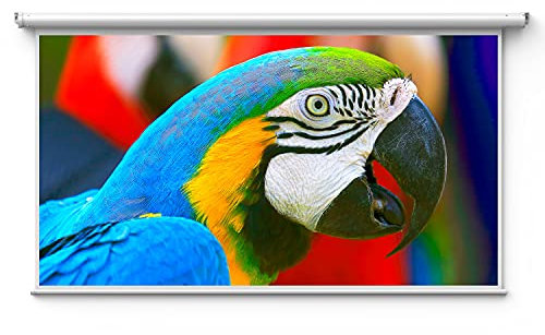 NEBULA 100-Inch Projector Screen for Home, Office, and Classroom, 16:9, Electric Remote Control for Home, Anti-Light, 2x Brighter, Color Contrast Enhancer, Works with All Projectors