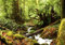 decomonkey Premium Fototapete Wald Natur 450x315 cm XL Tapete Fototapeten Vlies Tapeten Vliestapete Wandtapete moderne Wandbild Wand Schlafzimmer Wohnzimmer Wasserfall Landschaft