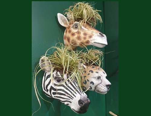 Fyne-Finds Animal Head Wall Planters Giraffe Leopard Zebra Plant Cache Pots Safari Animals Nursery Home Decor (Zebra)