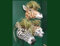 Fyne-Finds Animal Head Wall Planters Giraffe Leopard Zebra Plant Cache Pots Safari Animals Nursery Home Decor (Zebra)
