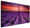 Paul Sinus Art GmbH Lavendel 120x60cm - 2 Wandbilder je 60x60cm Kunstdruck modern Wandbilder XXL Wanddekoration Design Wand Bild