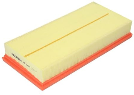 Filtron Air Filter AP194/1