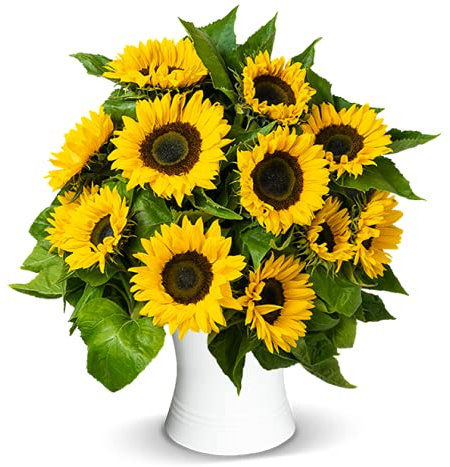 10 Sonnenblumen, beste Qualität, Sommerlicher Blumenstrauß, 7-Tage-Frischegarantie, perfekte Geschenkidee, Schneller Blumenversand