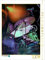 CALVENDO Puzzle Schlagzeug | 1000 Teile Lege-Größe 48 x 64 cm Foto-Puzzle für glückliche Stunden
