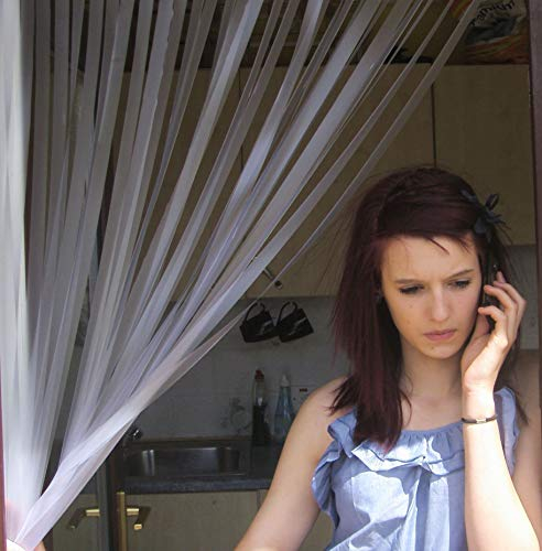 Tenda per porta Roulotte, Zanzariera, protezione dagli insetti, Tenda a Strisce di vereist 62 cm di larghezza