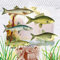 20 Servietten Fische im Portrait/Tiere/See/Angeln 33x33cm