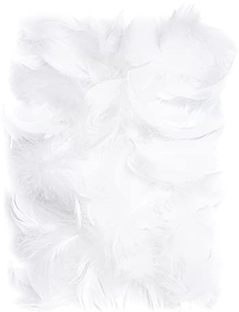 Netuno 150 Stück Deko Federn Weiß 10g Flaumfedern Schmuckfedern Vogelfedern Bastelfedern Natur für DIY Basteln Dekoration Ostern Weihnachten Dekofigur