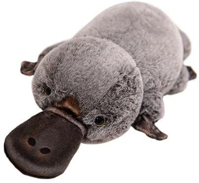 LCEDHZOC Lindo Ornitorrinco De Peluche, 45CM Regordete Regalo for Niños Niñas Decoración del Hogar(Gray)