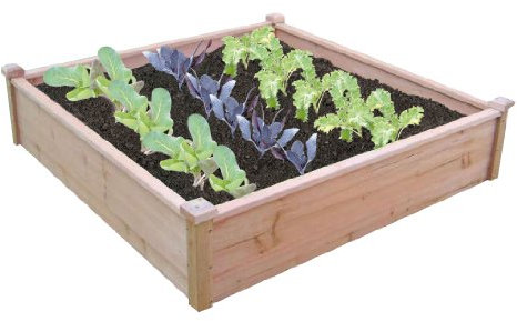 Spear & Jackson RAISEDBED2 Timber Raised Bed Kit for Plants, Vegetable Patch, Flower Bed - Weather Resistant, Tantalised Wood (1250 x 1250 x 180)